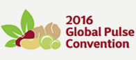 Global Pulse Convention