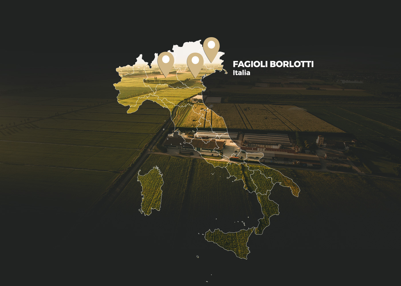 Fagioli borlotti biologici