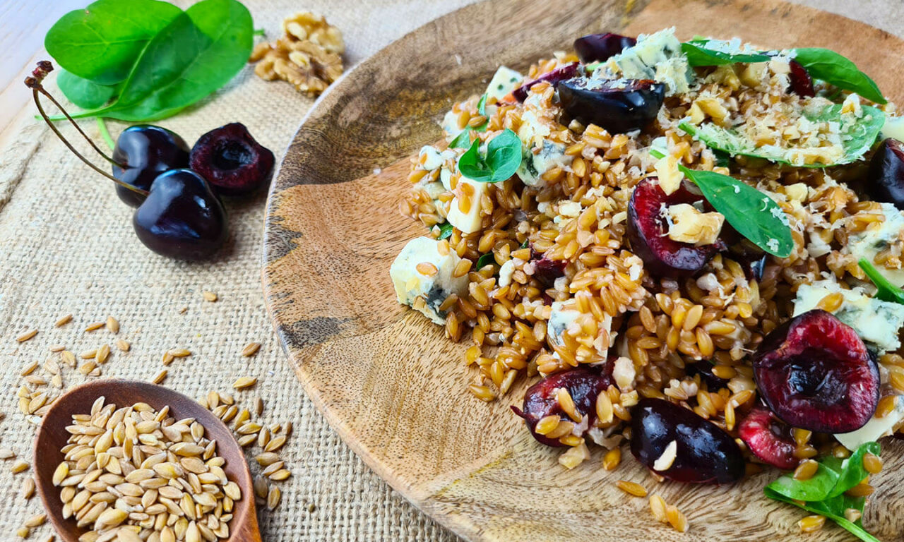 INSALATA DI FARRO BIOLOGICO